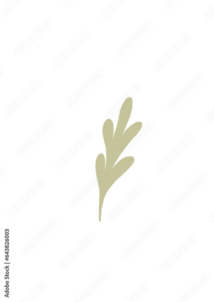 Ilustración planta Ilustración planta