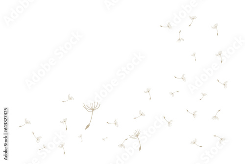 Dandelion Logo, Vector Plant Dandelion flower, Design Icon Template