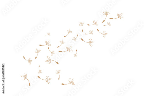 Dandelion Logo, Vector Plant Dandelion flower, Design Icon Template © Arya19