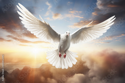 White dove flying through the clouds in the beautiful sky illuminated from the Sun. Symbol of freedom, peace and love