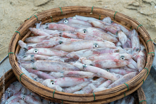 Fresh seafood and squid that have just been caught ashore are displayed at Man Thai seafood market, Da Nang, Vietnam. Asia travel concept. Trading fresh seafood.