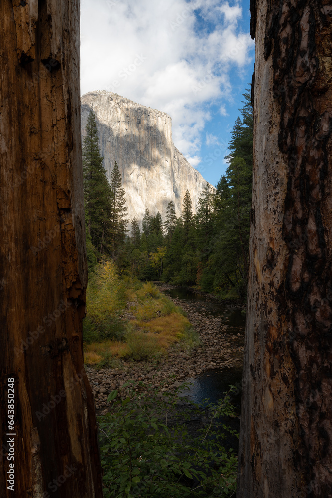 Solitude in Yosemite National Park, California