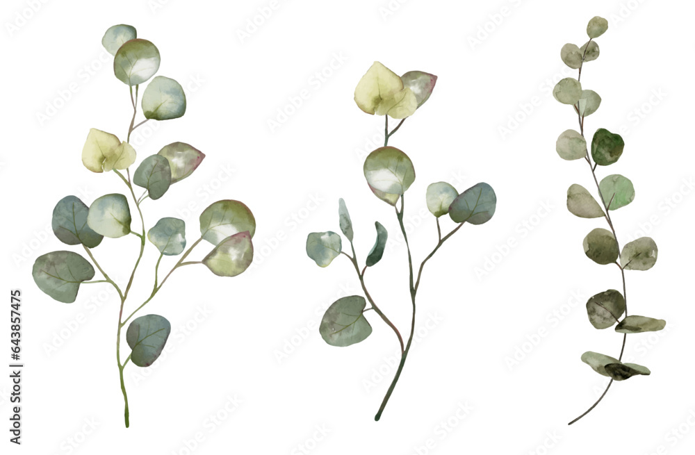 Watercolor floral vector illustration set - green leaf branches ...
