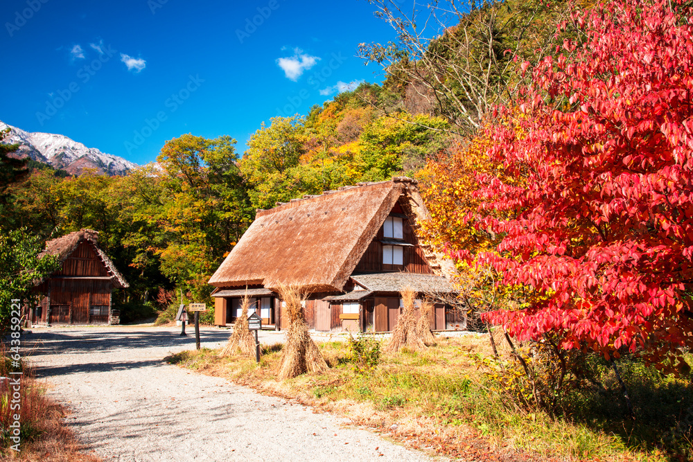 Autumn leaves and Shirakawa-go, Shirakawa, Gifu (village),Ono-gun,Gifu prefecture,Japan Autumn leaves and Shirakawa-go, Shirakawa, Gifu (village),Ono-gun,Gifu prefecture,Japan