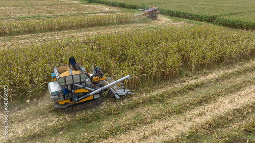 Farm machines harvesting corn. The entire corn plant is used  no waste. Agricultural machines working in farmland during harvesting corn. Smart farmer harvest. Combine harvester pours corn