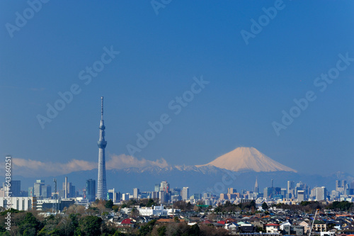 Tokyo Sky Tree and Mount Fuji, Japan,Chiba Prefecture,Matsudo, Chiba photo