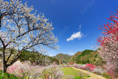 Hanamomo no Sato and clouds, Nagano Prefecture,Shimoina gun,Achi-mura,Japan photo