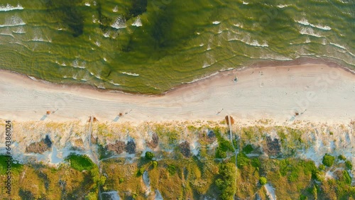 Aerial top-down view of beautiful sandy Curonian Spit beaches, Baltic sea shore photo