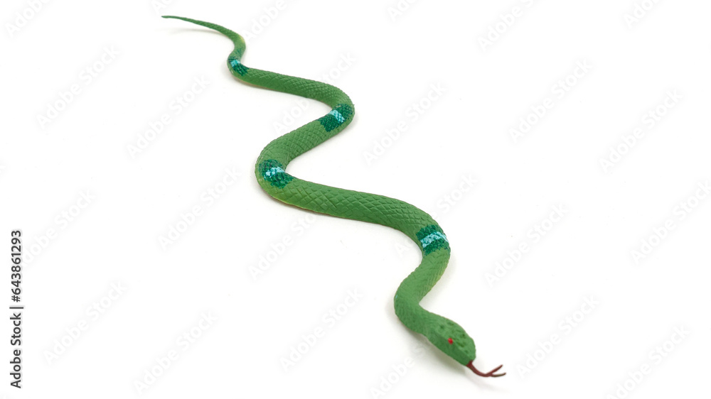 Rubber snake, toy isolated on white background Rubber snake, toy isolated on white background