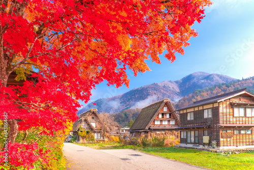 Autumn Leaves and Shirakawa-go Gassho Village, Japan