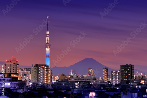 Mt. Fuji and Tokyo Sky Tree at night, Japan,Chiba Prefecture,Ichikawa, Chiba photo