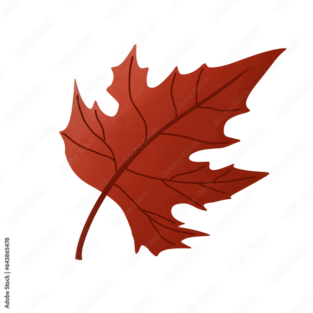 maple of Autumns maple of Autumns