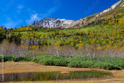 Tsugaike Nature Park, Japan,Nagano Prefecture,Kitaazumi District, Nagano,Otari, Nagano photo