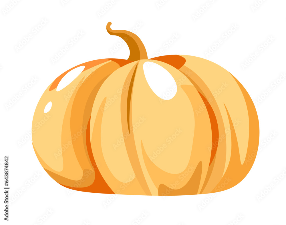 Pumpkin vegetable, harvesting and agriculture Pumpkin vegetable, harvesting and agriculture
