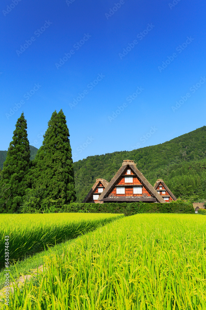 Shirakawa-go in Summer, Japan,Gifu prefecture,Ono-gun,Shirakawa, Gifu (village) Shirakawa-go in Summer, Japan,Gifu prefecture,Ono-gun,Shirakawa, Gifu (village)