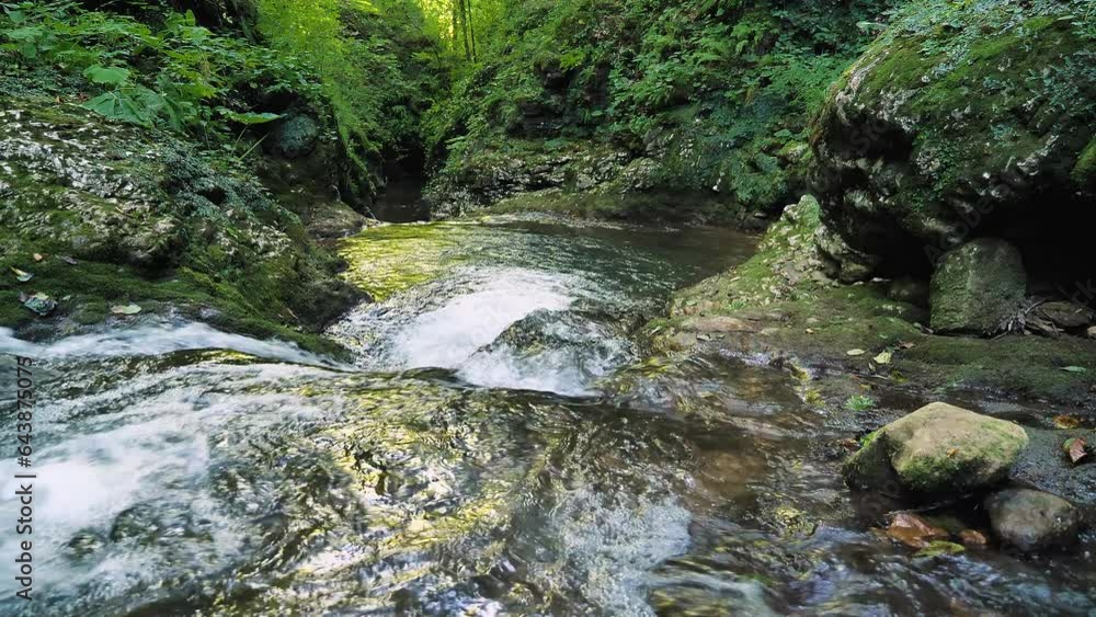 A small mountain river flows through a beautiful gorge with ferns, moss and bushes growing on the rocks. Stream of clear water in a cool gorge in summer. Slow motion A small mountain river flows through a beautiful gorge with ferns, moss and bushes growing on the rocks. Stream of clear water in a cool gorge in summer. Slow motion