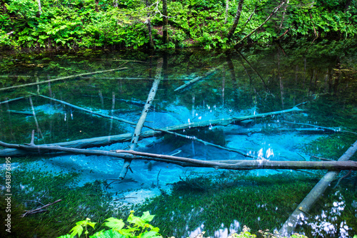 Kaminoko-ike Pond, Japan,Hokkaido,Shari District, Hokkaido,Kiyosato, Hokkaido,Eastern photo