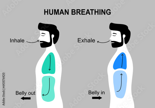 Human body when breathe in and breathe out in flat design.