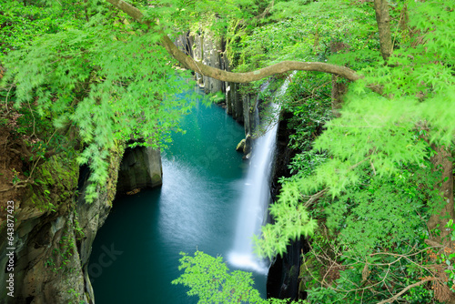 Manai no taki waterfall, Takachiho Gorge, Miyazaki prefecture,Nishiusuki District, Miyazaki,Takachiho, Miyazaki,Japan photo