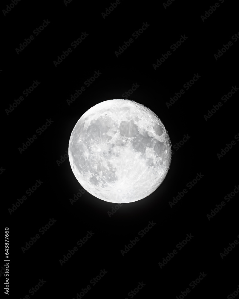 Obraz premium full moon in the night sky