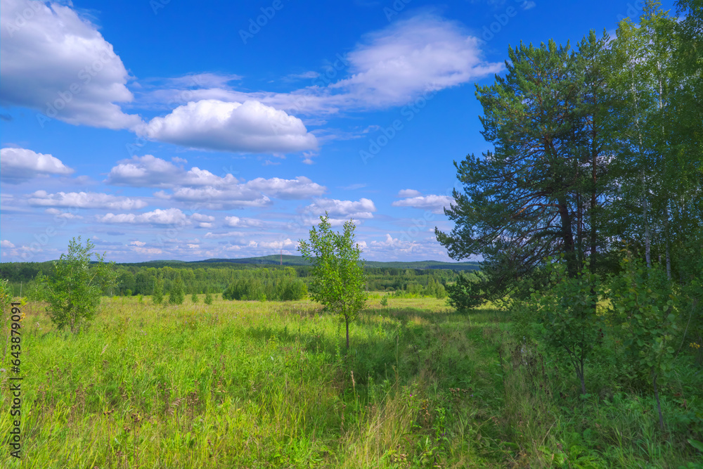 Summer landscape green meadow and forest in the background against the backdrop of a beautiful blue sky and white clouds. Summer landscape green meadow and forest in the background against the backdrop of a beautiful blue sky and white clouds.
