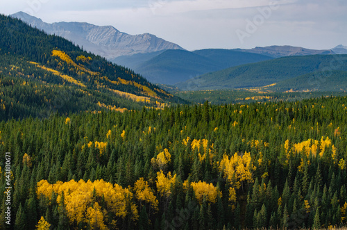Forest and Mountains in Autumn