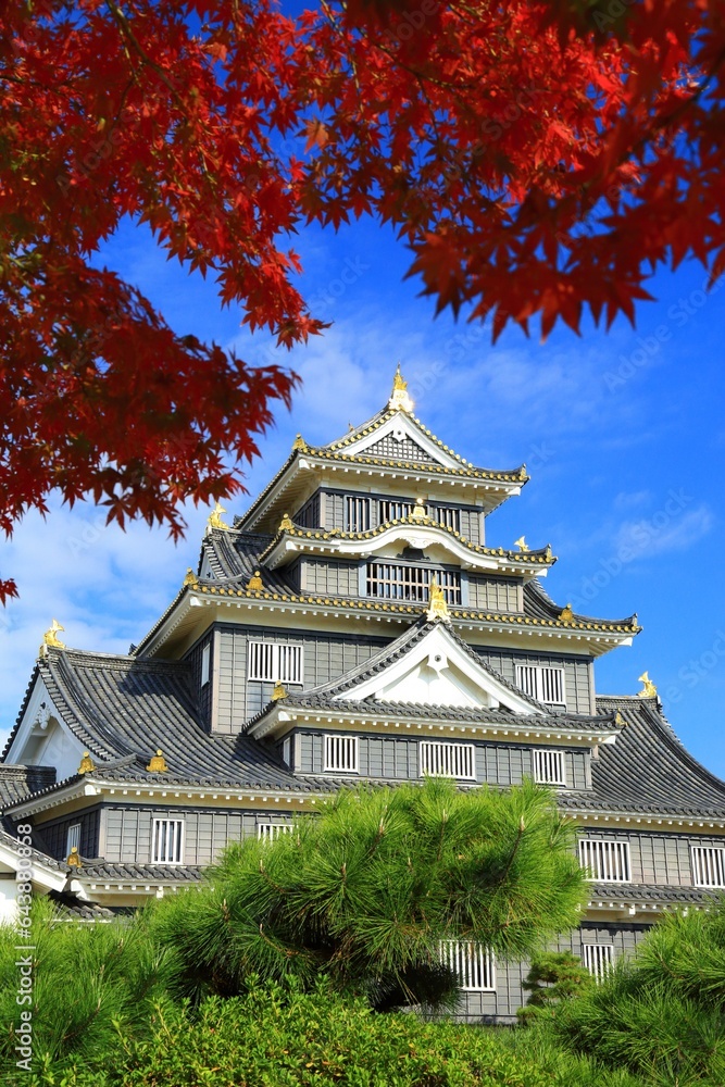 Okayama Castle and autumn leaves, Japan,Okayama Prefecture,Okayama city