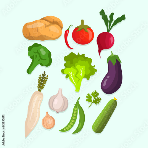 Cartoon Vegetables Collection. Potatoes, chilies, tomatoes, beets, broccoli, mustard greens, eggplant, potatoes, garlic, onions, long beans, bitter gourd in cartoon style. Vector eps 10