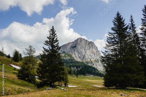 pine trees and a high rocky mountain in the middle on the wurzeralm in austria