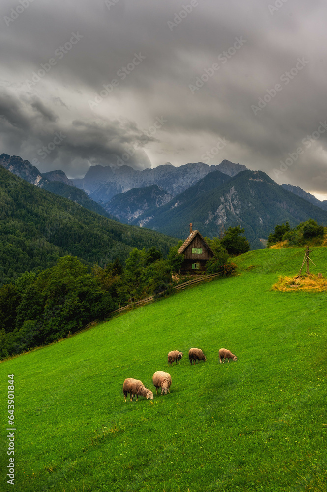 The beautiful Slovenian mountains of the Julian Alps. Triglav National Park.