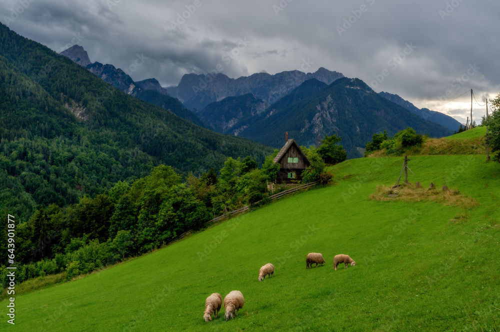 The beautiful nature of the Slovenian Alps. The Julian Alps. Summer in Triglav National Park.