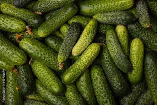 Vászonkép Cucumbers layer on the table