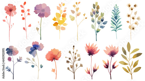 Set watercolor elements of pink roses; collection garden flowers; leaves; branches. Botanic Wedding floral design. Collection of greenery leaf plant forest herbs tropical leaves