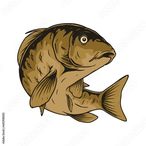 carp fish vector illustration design