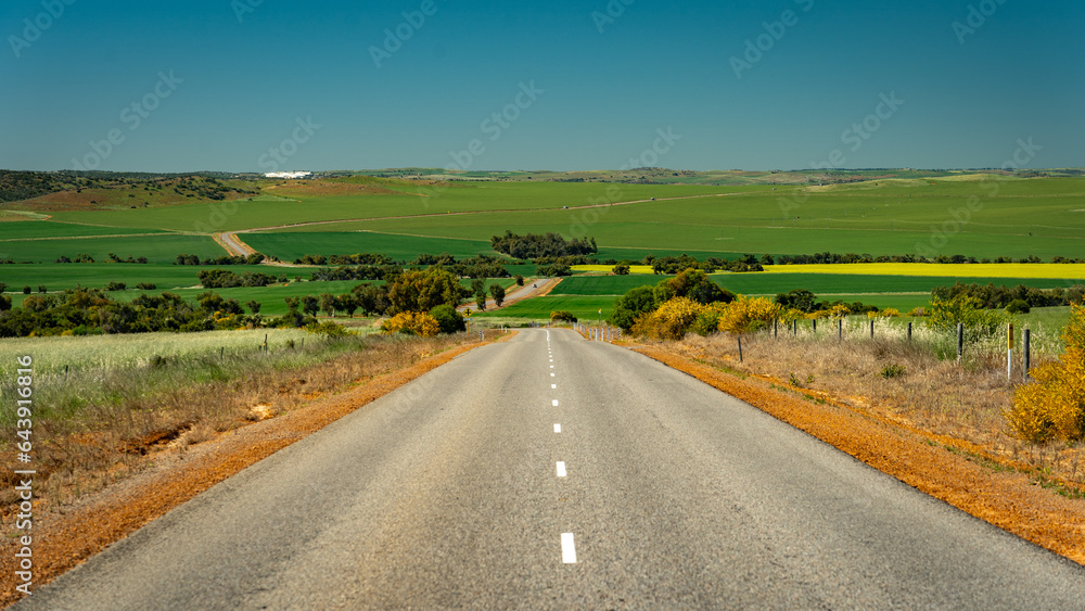Picturesque road through the fields of wheat and canola in rural Western Australia