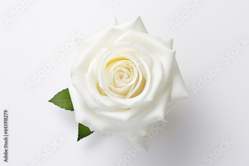 wedding white rose decoration style of minimalistic modern  joyful and optimistic  crisp and clean look