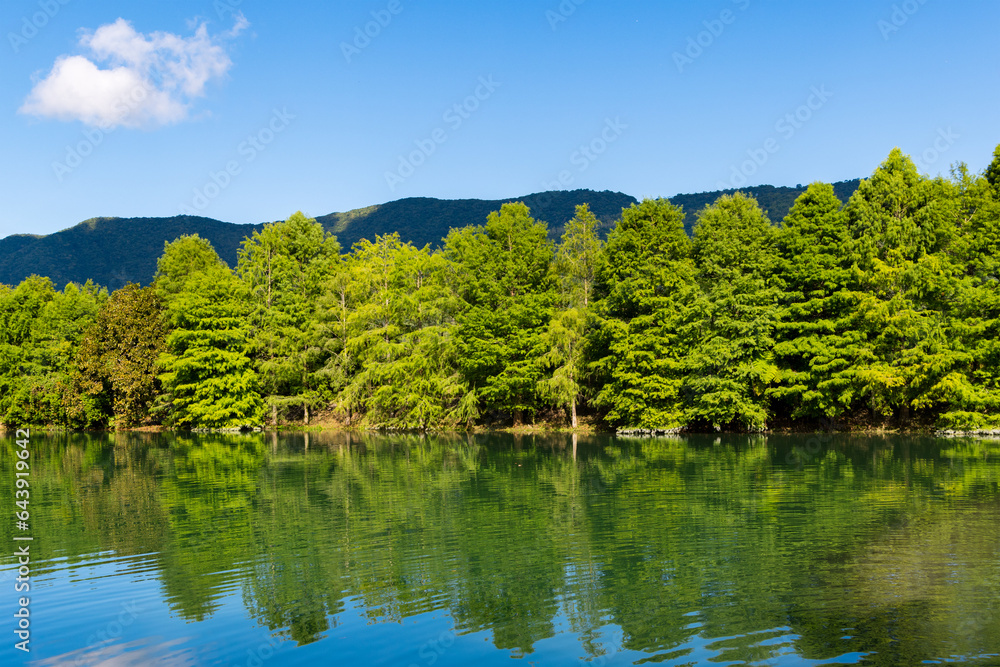 Beautiful lake with green tree reflection in Hualien County of Taiwan Beautiful lake with green tree reflection in Hualien County of Taiwan