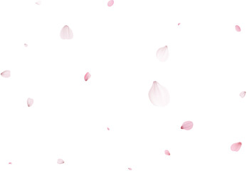 Romantic Sakura Background