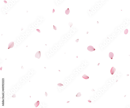 Sakura flying petals, romantic background.