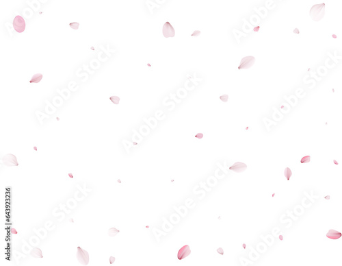 Sakura flying petals, romantic background.