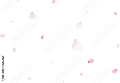 Romantic Sakura Background photo