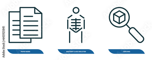 set of 3 linear icons from user interface concept. outline icons such as paper work, anatomy class skeleton, tracking vector