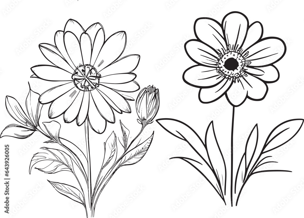 Hand-drawn flowers in Monochrome Style and simple Line Art Flowers in Black and White