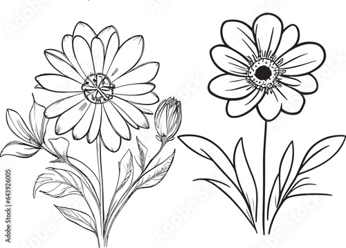 Hand-drawn flowers in Monochrome Style and simple Line Art Flowers in Black and White
