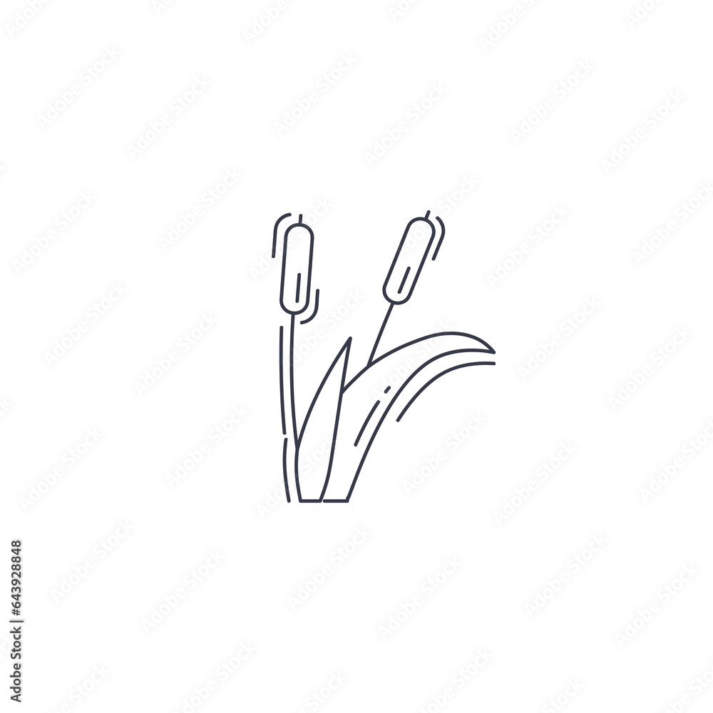 Reeds plant line icon. reed thin line icon. Reeds plant line icon. reed thin line icon.