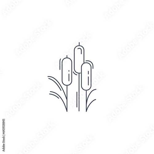 Reeds plant line icon. reed thin line icon.