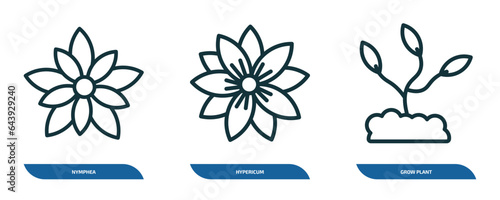 set of 3 linear icons from nature concept. outline icons such as nymphea, hypericum, grow plant vector