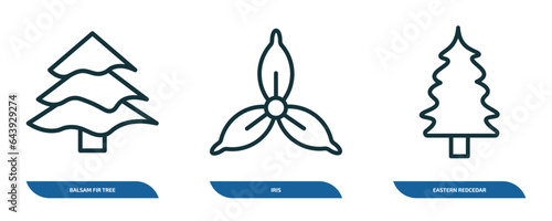 set of 3 linear icons from nature concept. outline icons such as balsam fir tree, iris, eastern redcedar tree vector