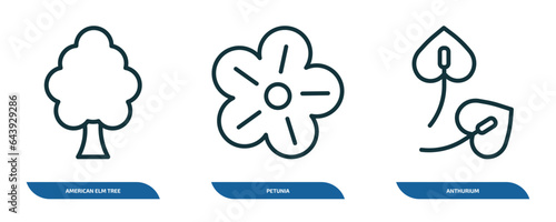 set of 3 linear icons from nature concept. outline icons such as american elm tree, petunia, anthurium vector