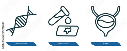 set of 3 linear icons from medical concept. outline icons such as medical chain of dna, blood analysis, bladder vector
